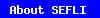 About SEFLI
